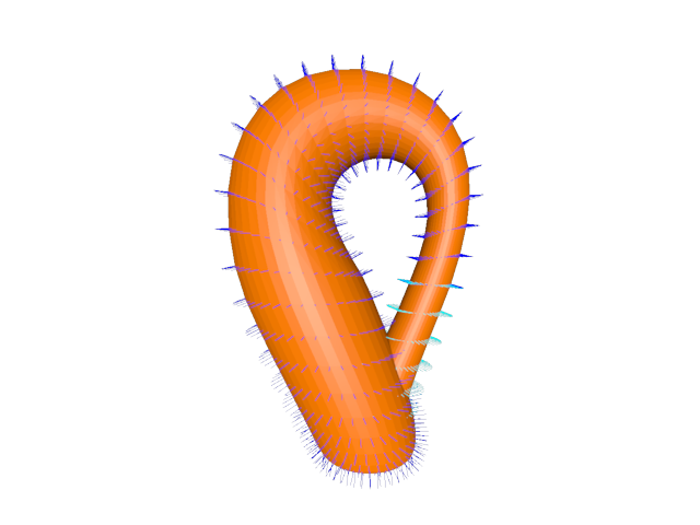 geometry klein bottle
